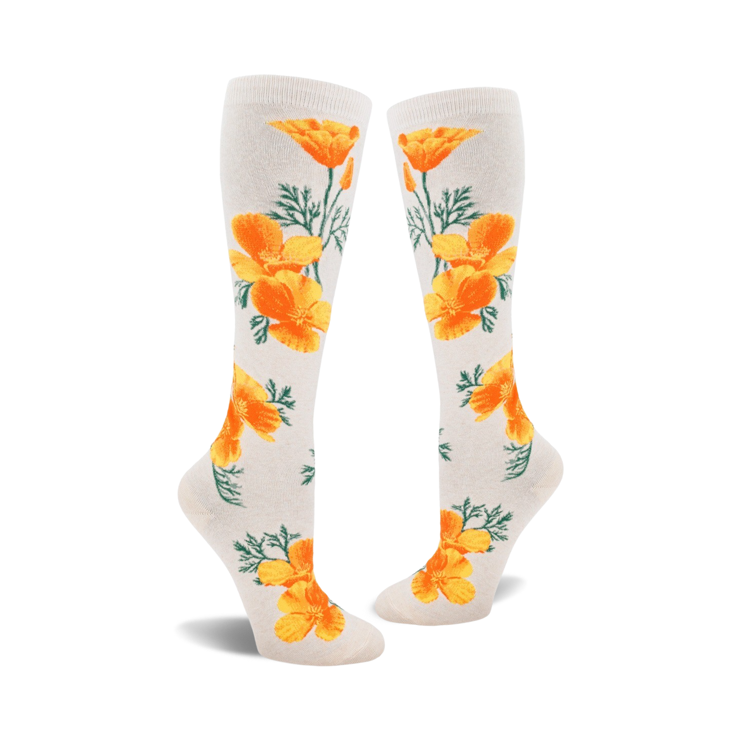 California Poppy