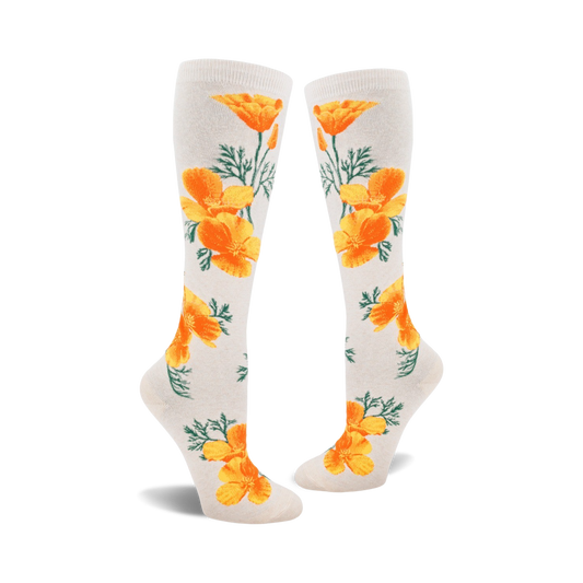 California Poppy