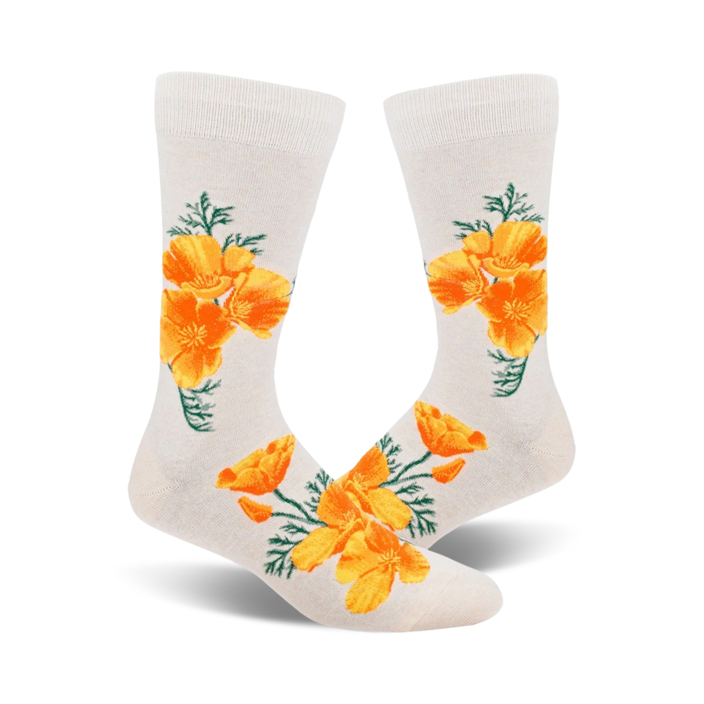 California Poppy