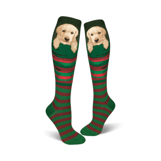 Stocking Pupper