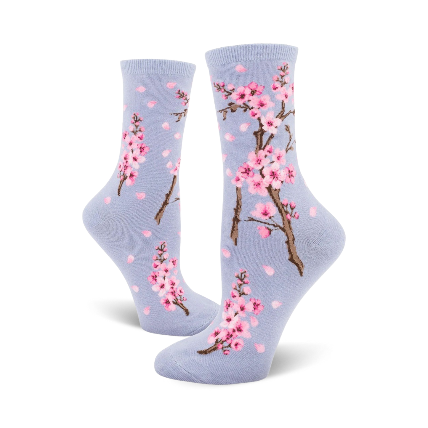 Cherry Blossom