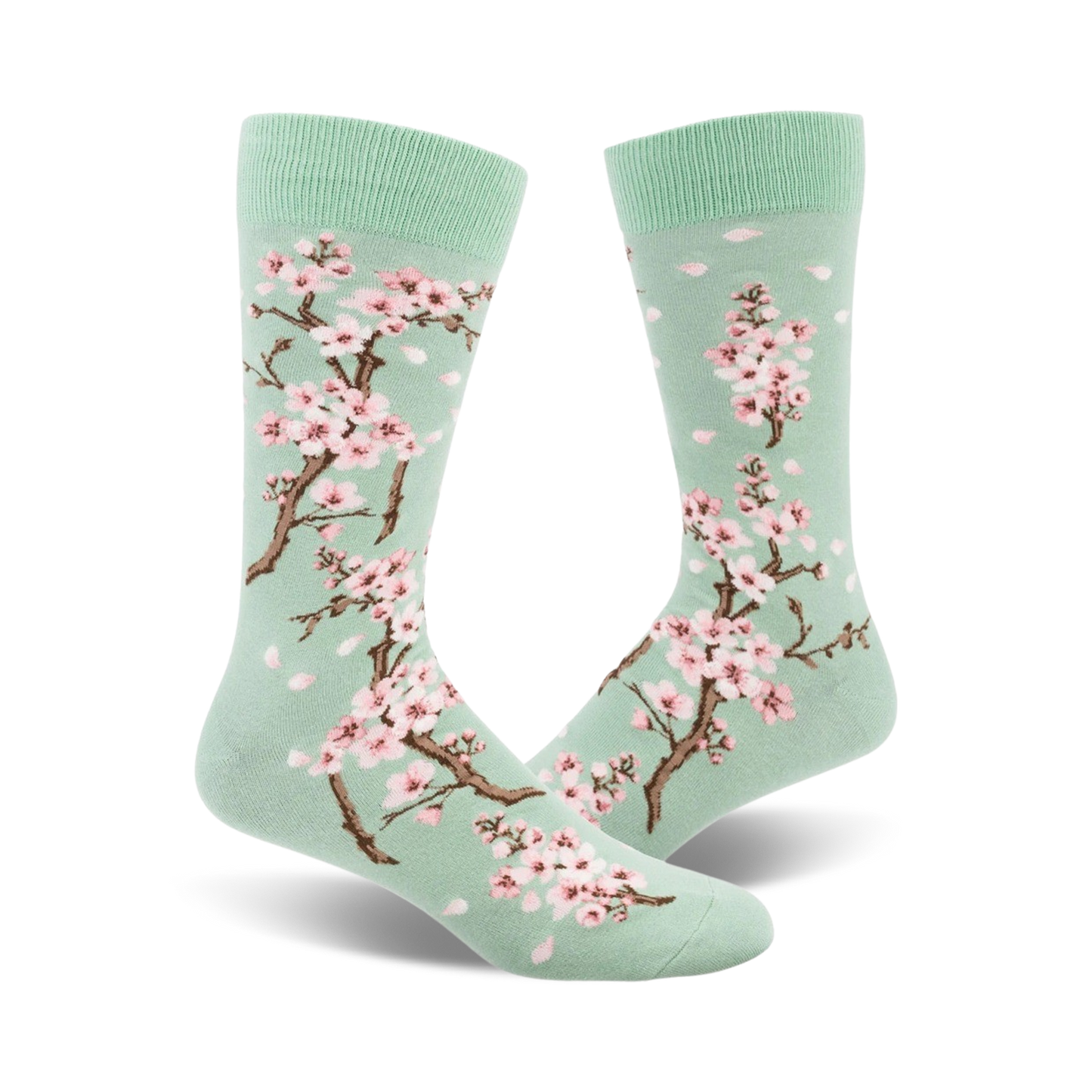 Cherry Blossom