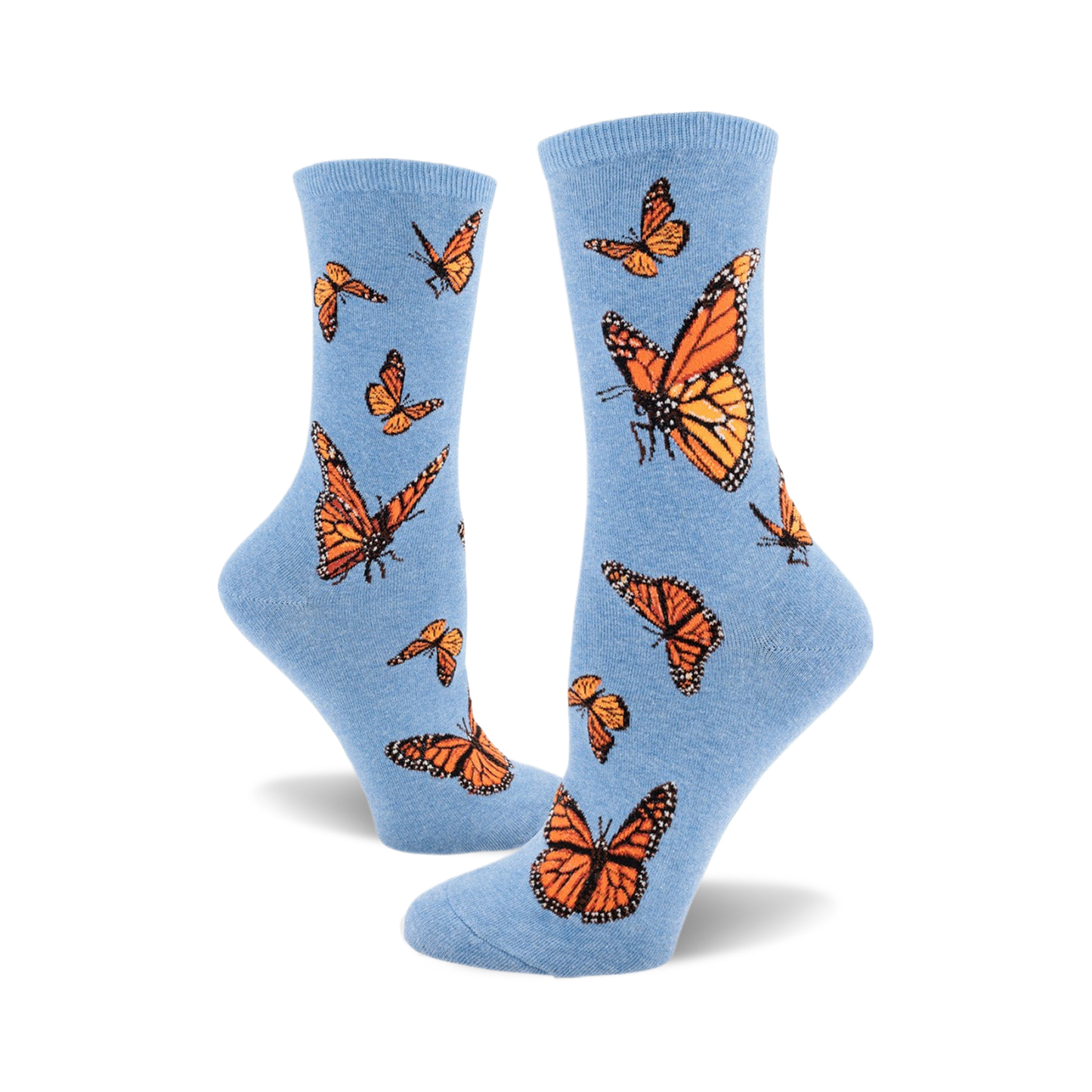 Monarch Butterfly
