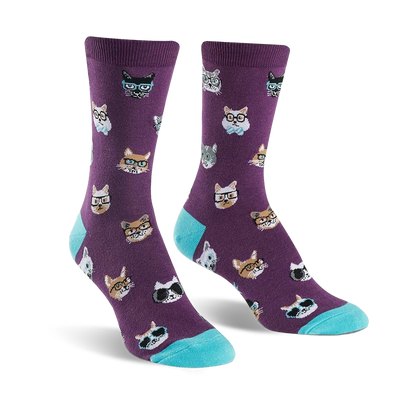 Smarty Cats