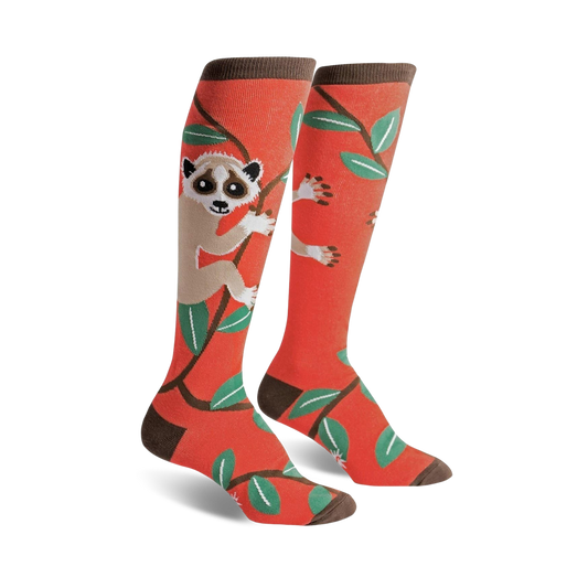 Slow Loris