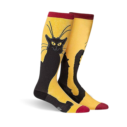 Chat Noir