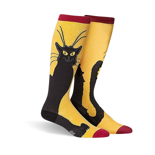 Chat Noir