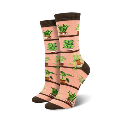 Houseplants Bamboo