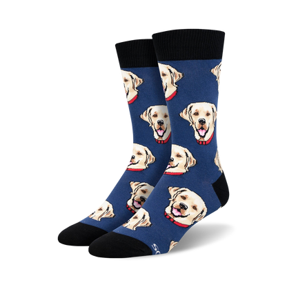 Labrador