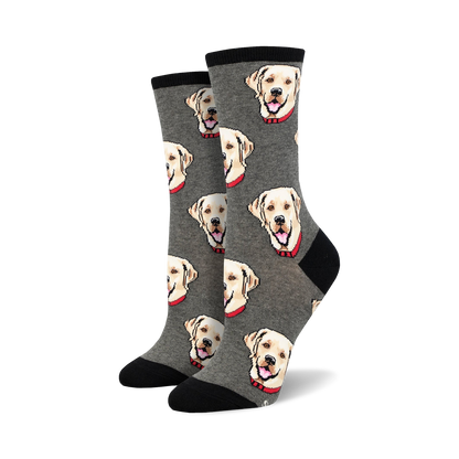 Labrador
