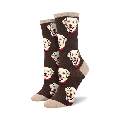 Labrador
