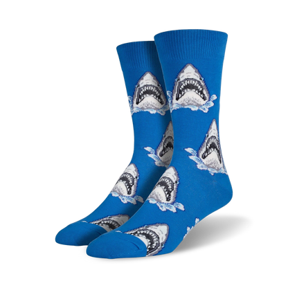 Shark Attack