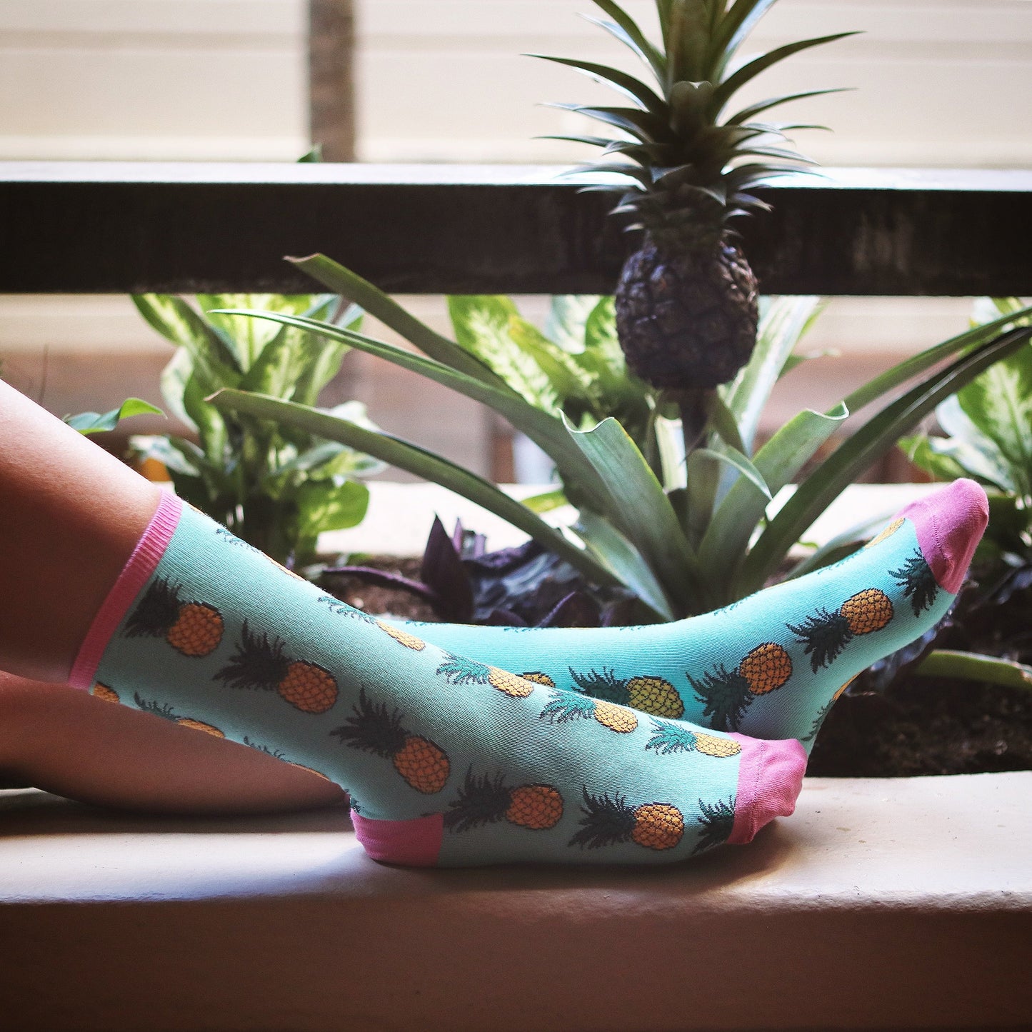 Pineapple