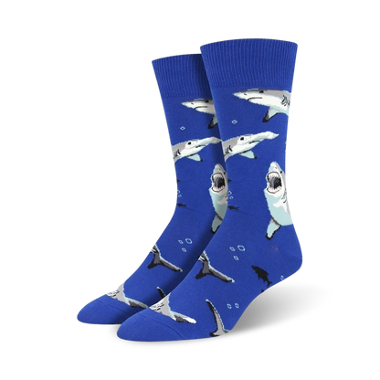 Shark Chums