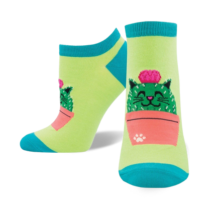 Kitty Cactus