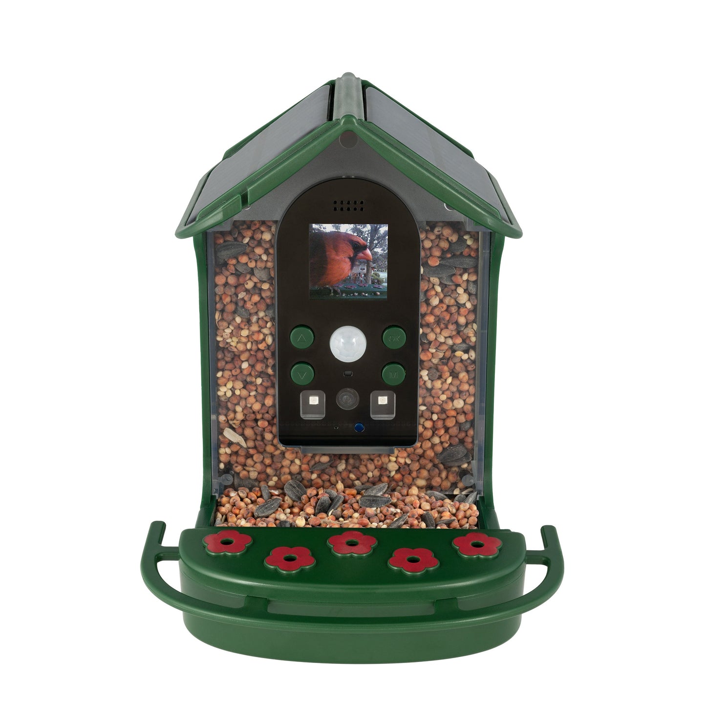 Wild Bird Feeder Wi-Fi Camera