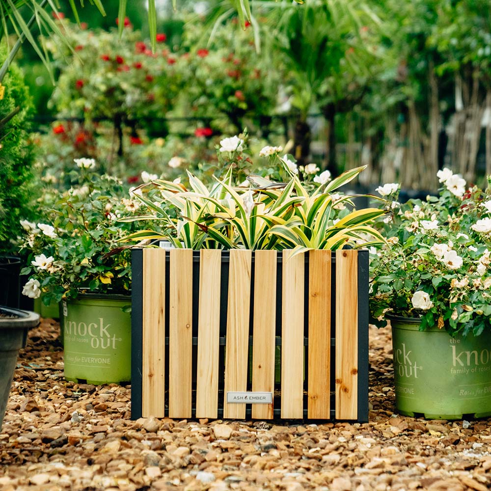 Caspian Square Planter Box