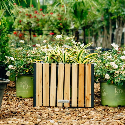 Caspian Square Planter Box