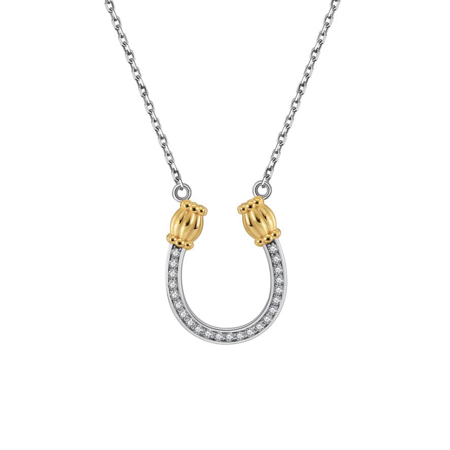 Saints and Saviors Feeling Lucky Reversible Silver Horseshoe Necklace