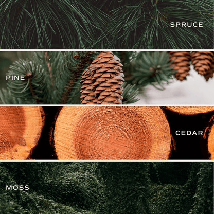 Christmas Tree Tinted Glass Jar Reed Diffuser