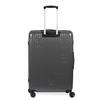 Check-In Luggage