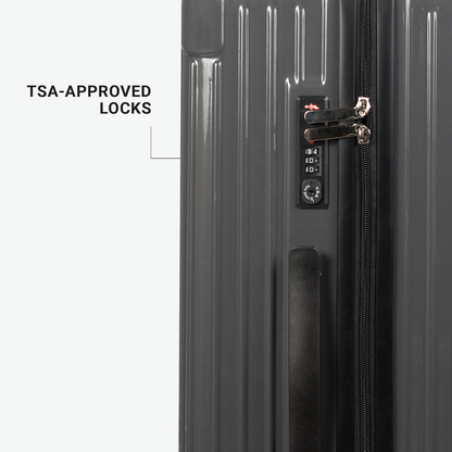 Check-In Luggage