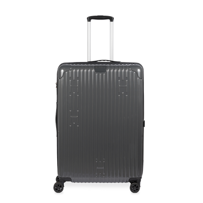 Check-In Luggage