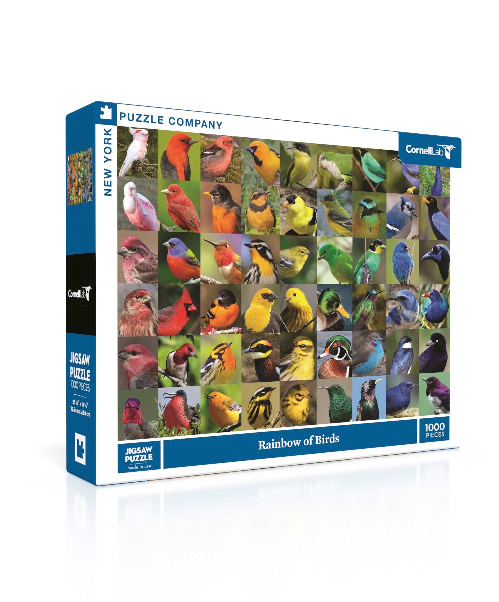 Rainbow of Birds