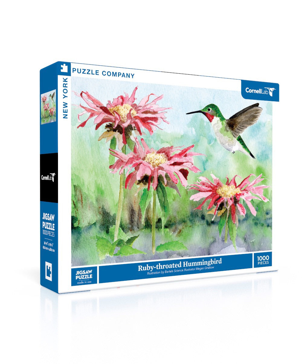 Ruby-throated Hummingbird