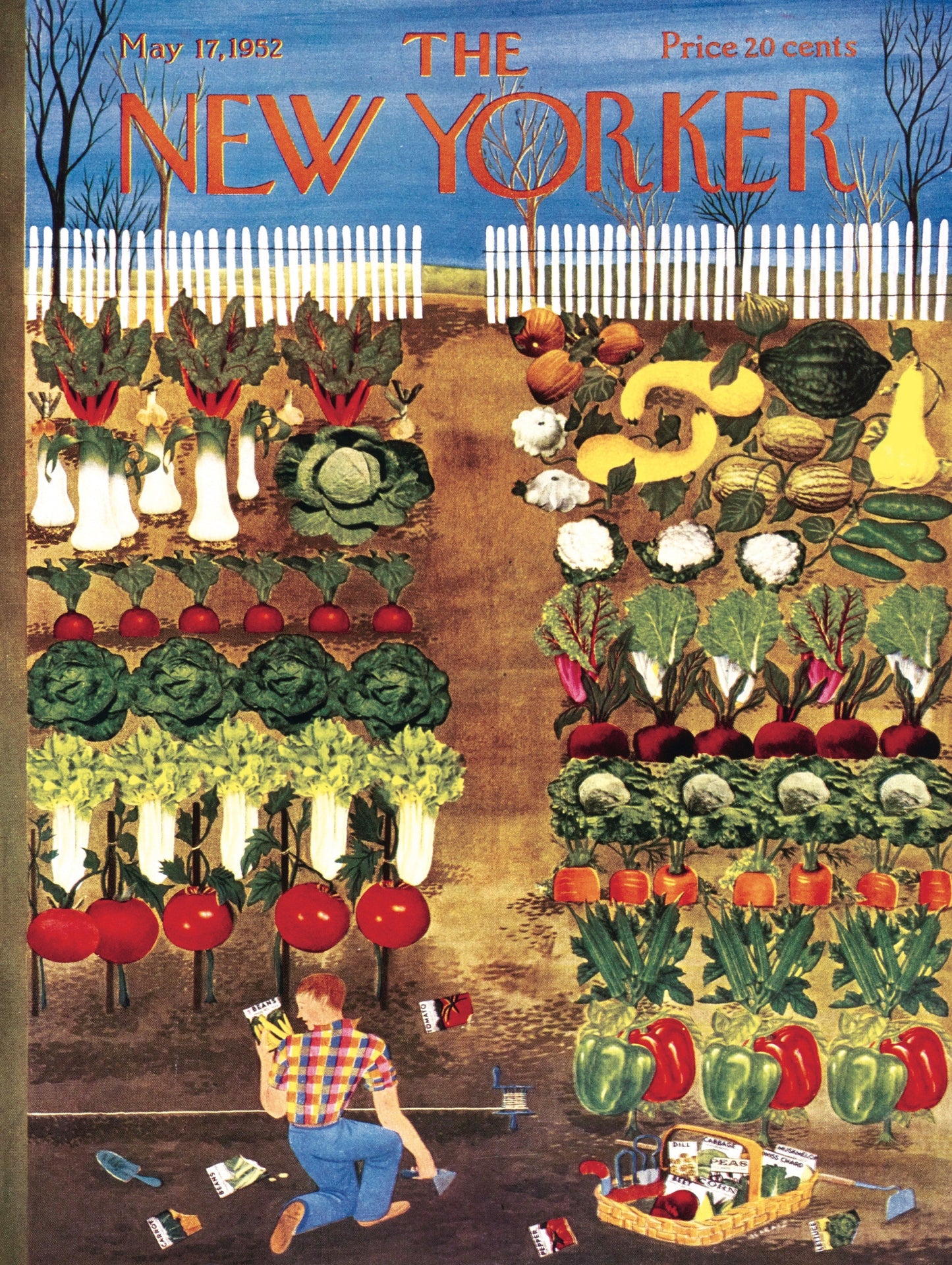 Vegetable Garden