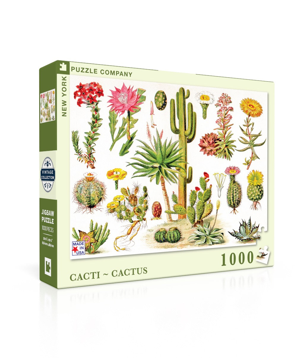 Cacti ~ Cactus