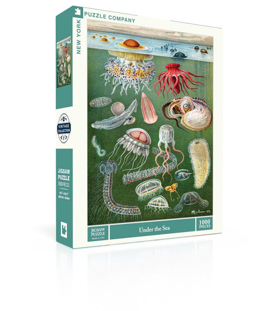 Under the Sea