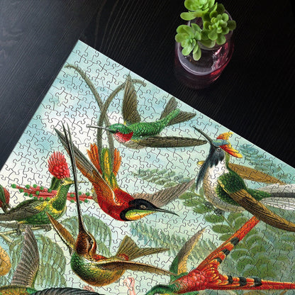 Hummingbirds