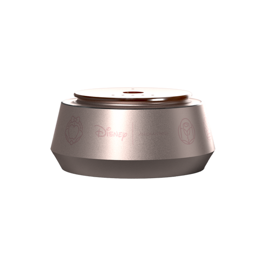 Princess Smart Car Diffuser™