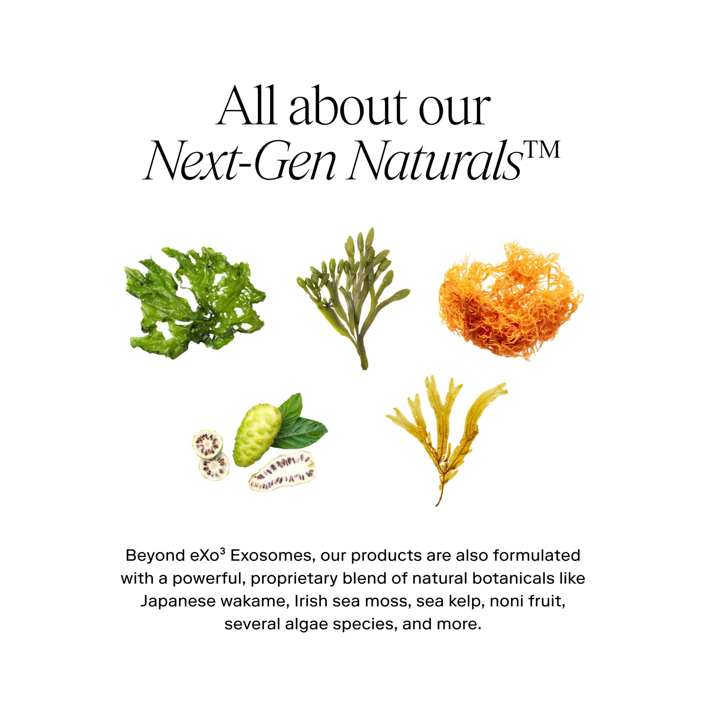 EXO PLUS® Anti-Aging Cream / eXo³ Exosomes®