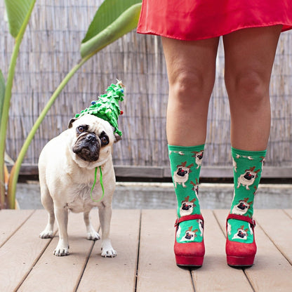 Antler Pug