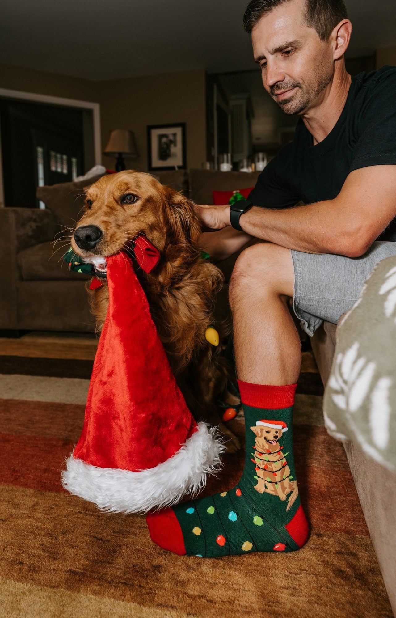 Dog Gone Lights