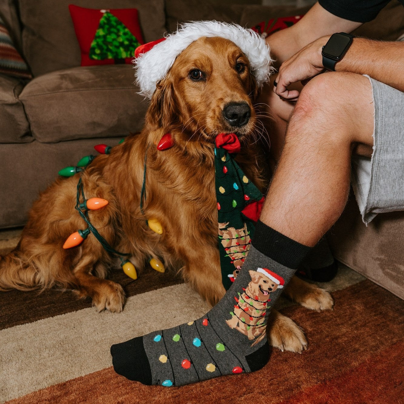 Dog Gone Lights