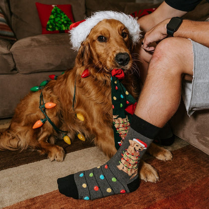 Dog Gone Lights