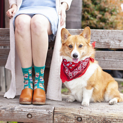 Corgi