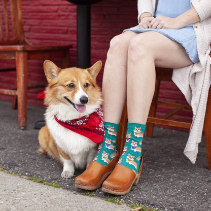 Corgi