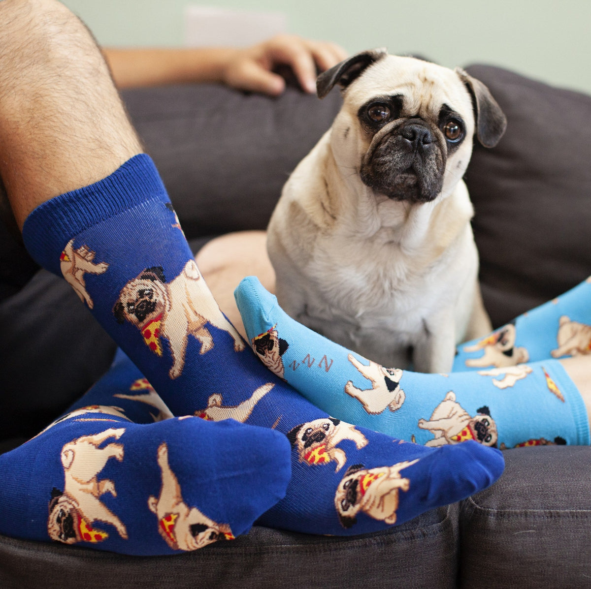Man's Best Friends
