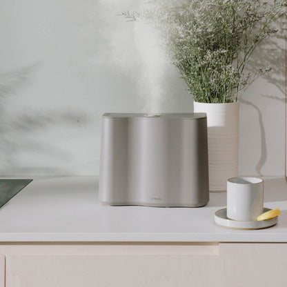 Cloud Humidifier