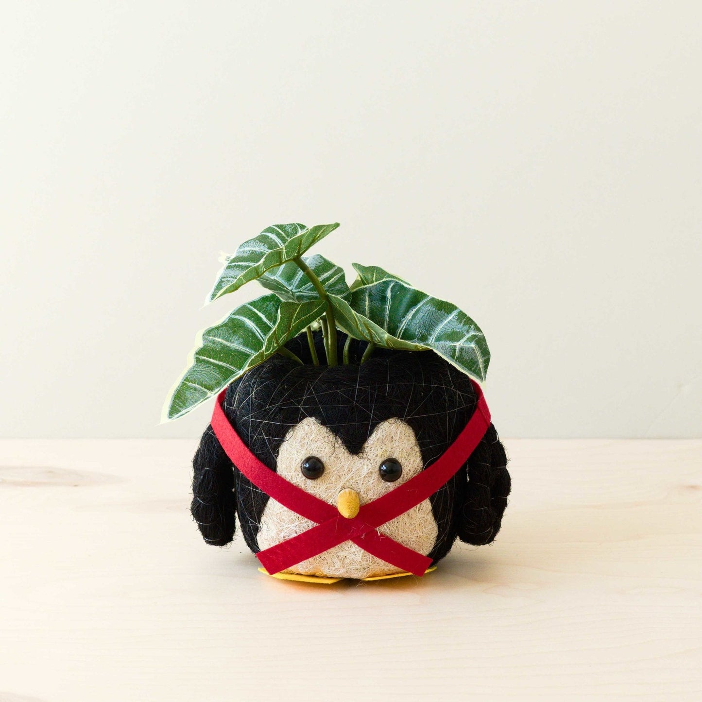 Penguin Planter - Coco Coir Pot | LIKHÂ