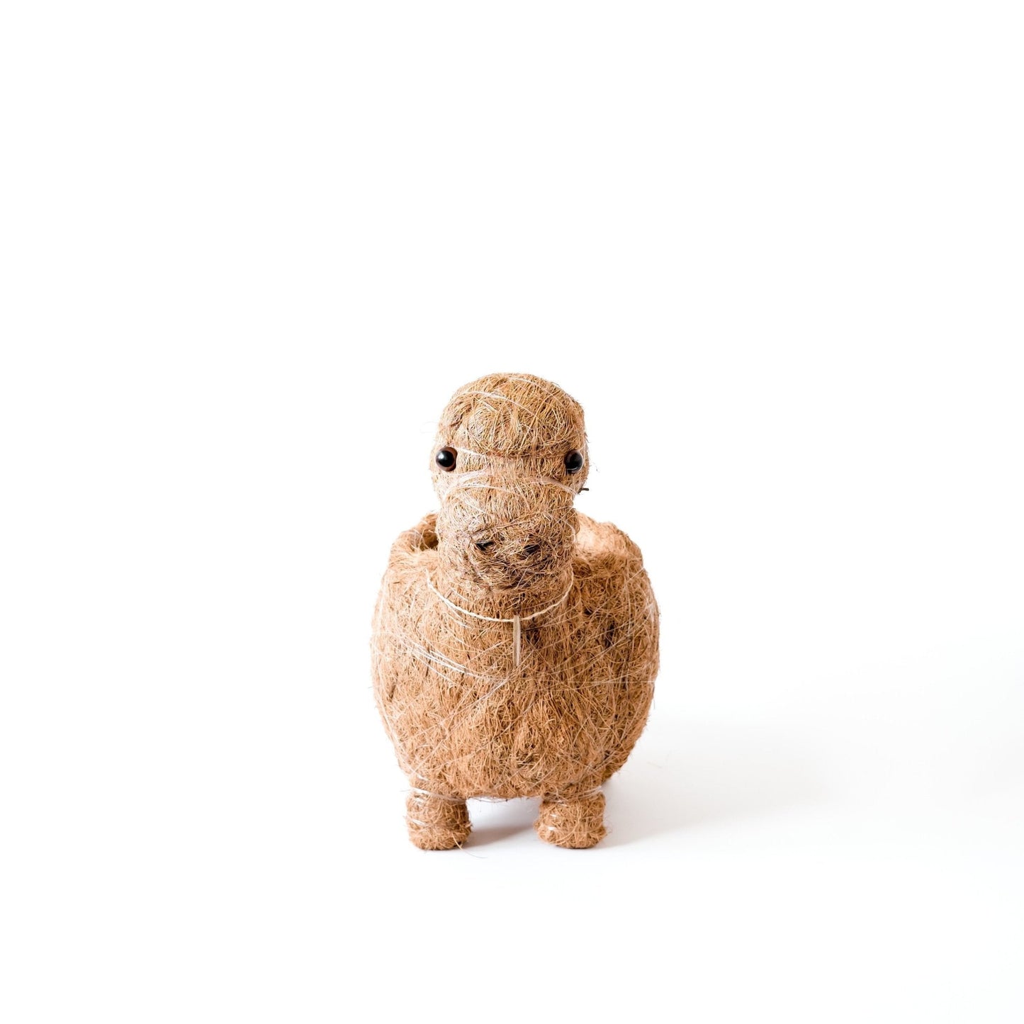 Brontosaurus Planter - Coco Coir Pots | LIKHÂ