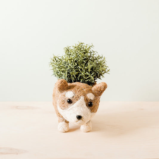 Corgi Succulent Pot - Handmade Planters | LIKHÂ