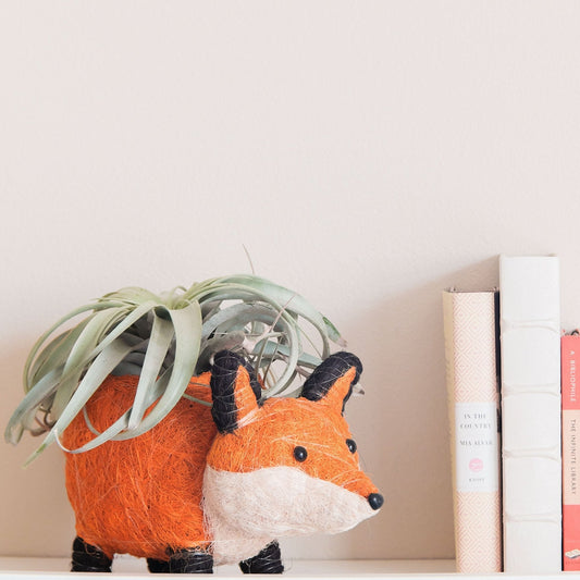 Fox Planter - Coir Planters | LIKHÂ