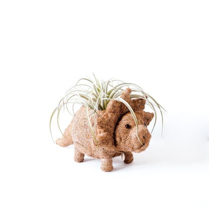 Triceratops Planter - Coco Coir Pots | LIKHÂ