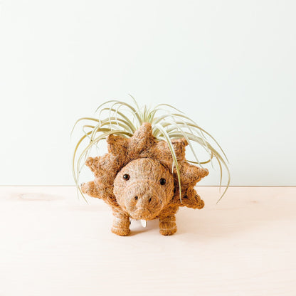 Triceratops Planter - Coco Coir Pots | LIKHÂ