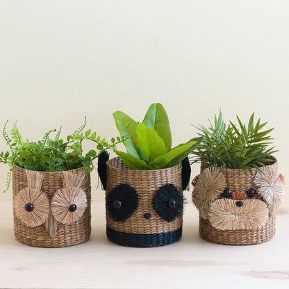 Owl 6" Seagrass Basket Planter - Succulent Plant Pot | LIKHÂ